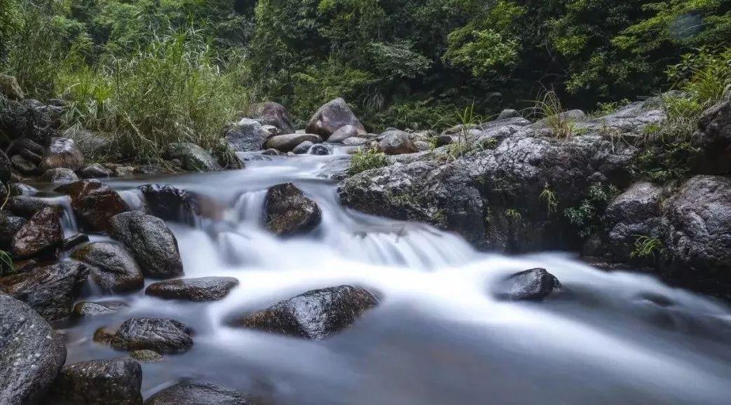 高级定制